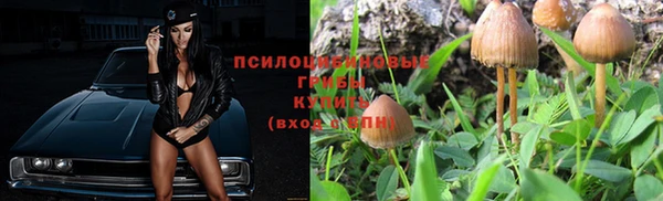 мдпв Ступино