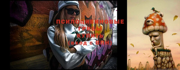 MDMA Premium VHQ Беломорск