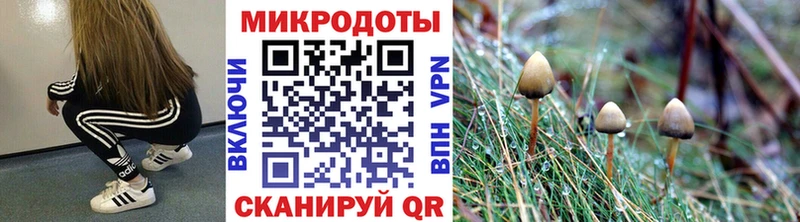 Псилоцибиновые грибы прущие грибы сколько стоит МЕГА вход Мышкин